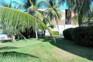 Espaço amplo e arborizado